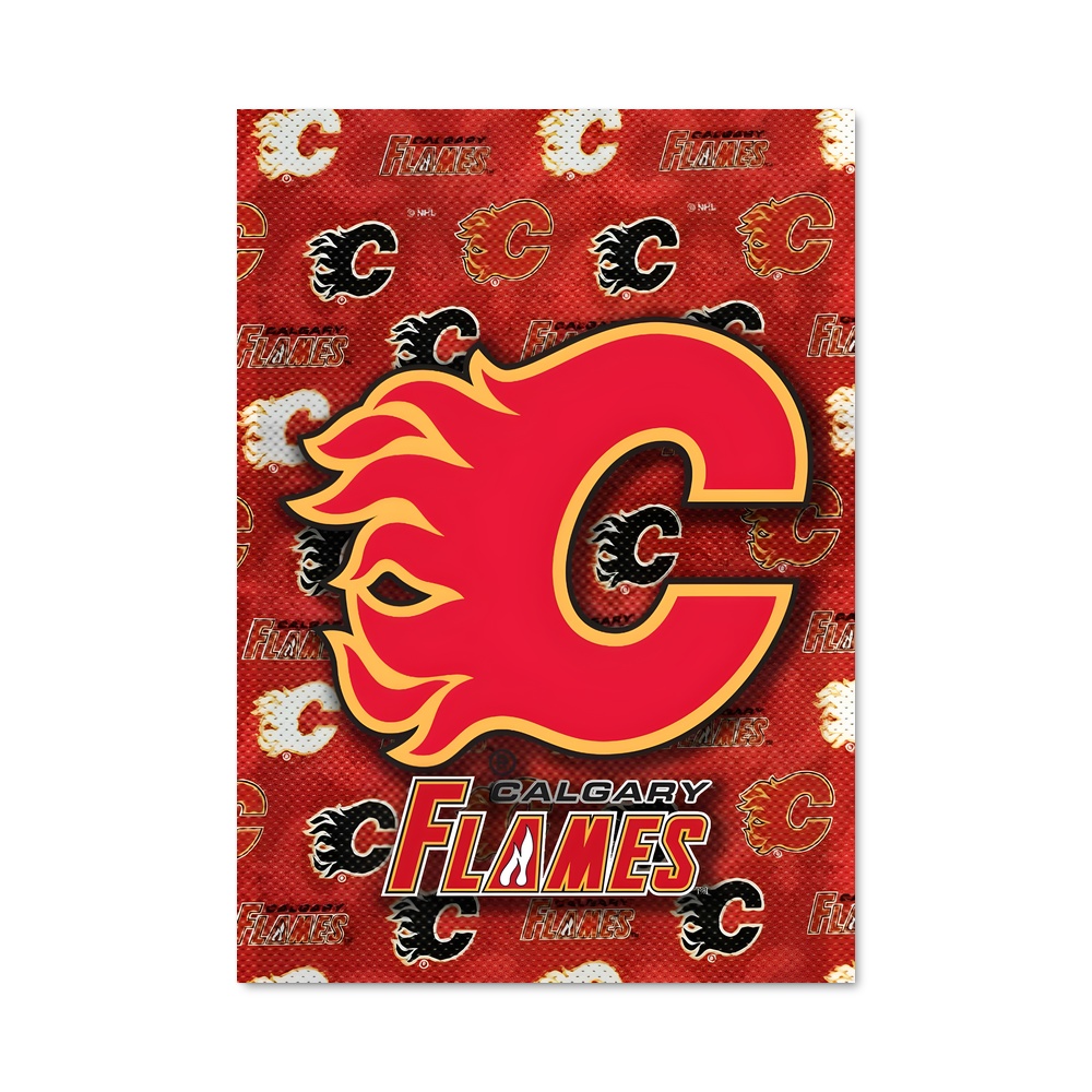 Poster Flames en Action